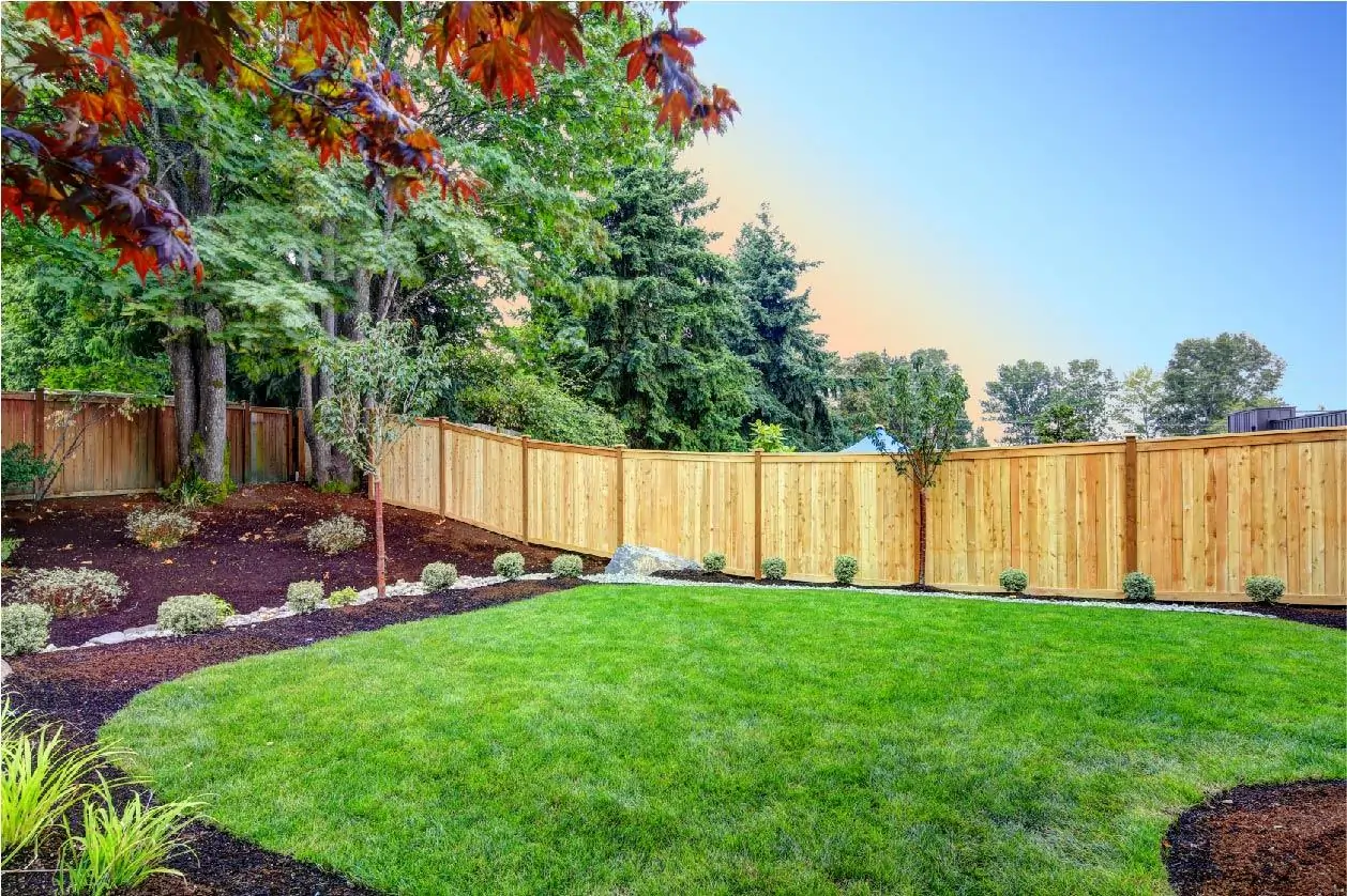 Freshly installed wooden garden fence by a professional fencing company in Sheffield, showcasing high-quality fencing in a landscaped backyard.